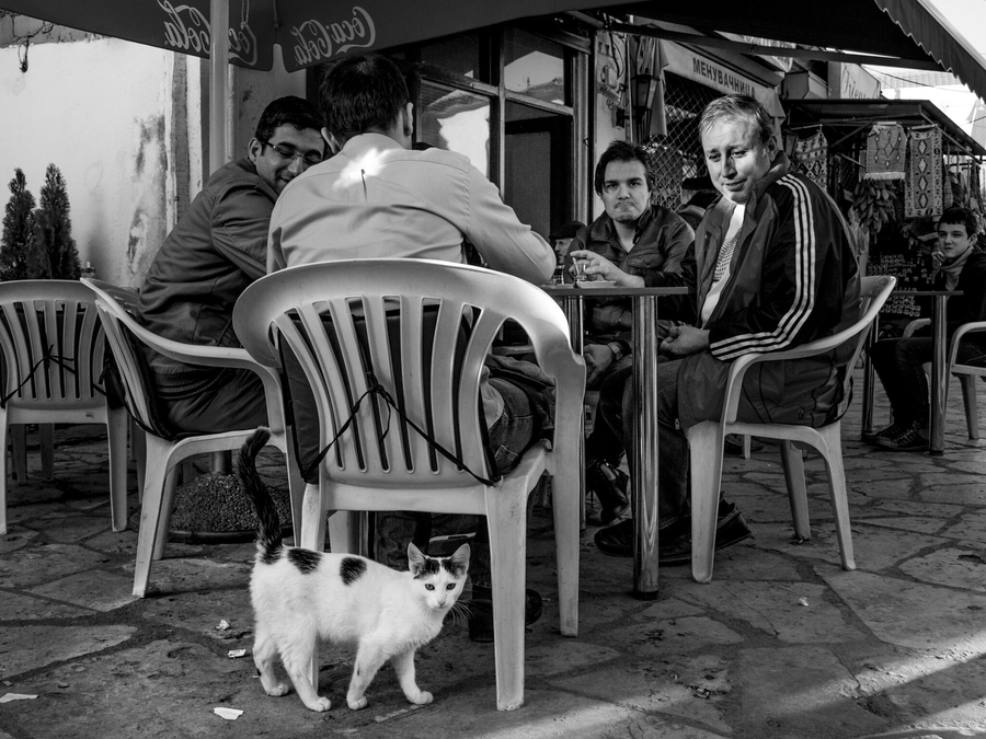 Balkan Chat & Support